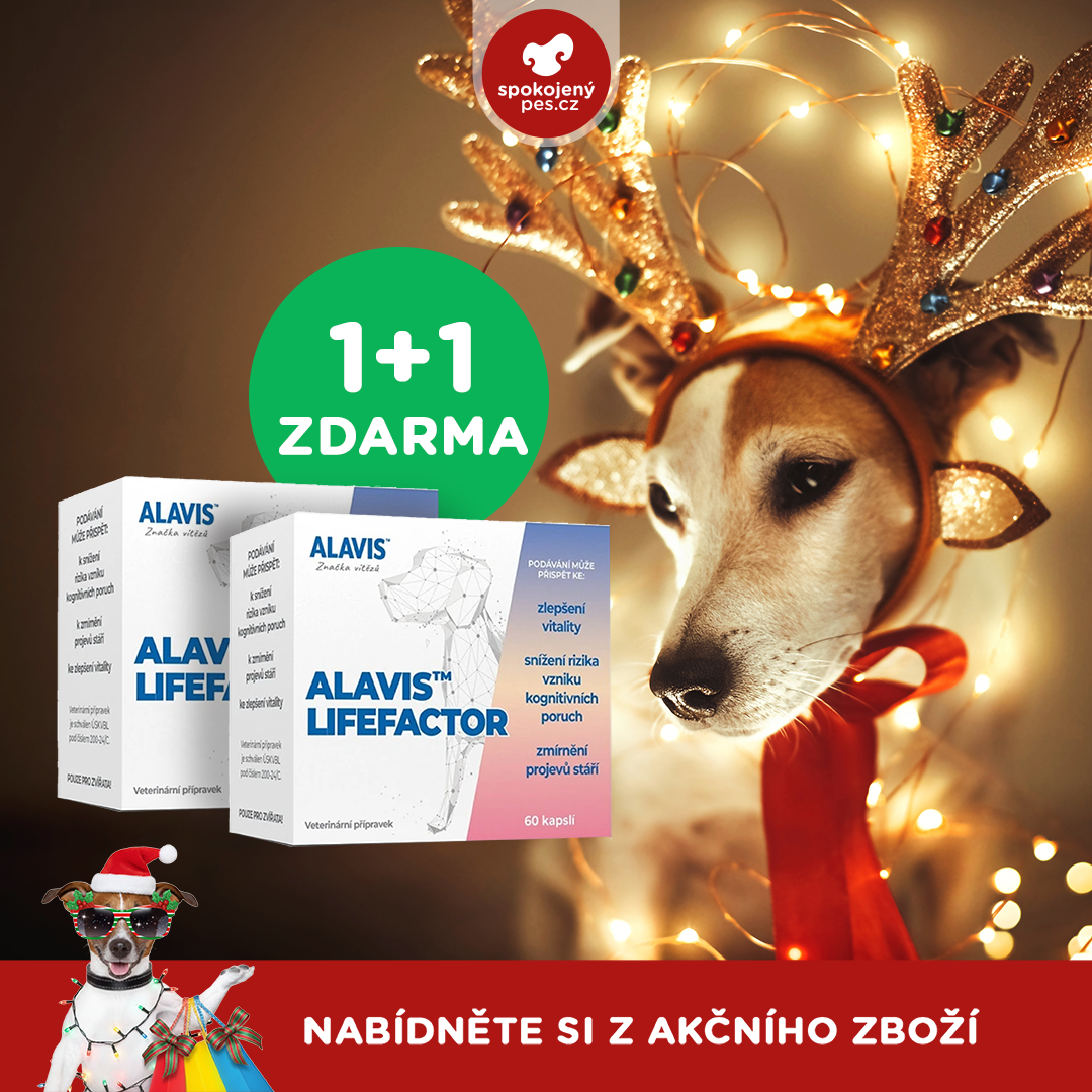 akční prosinec_pes11.png